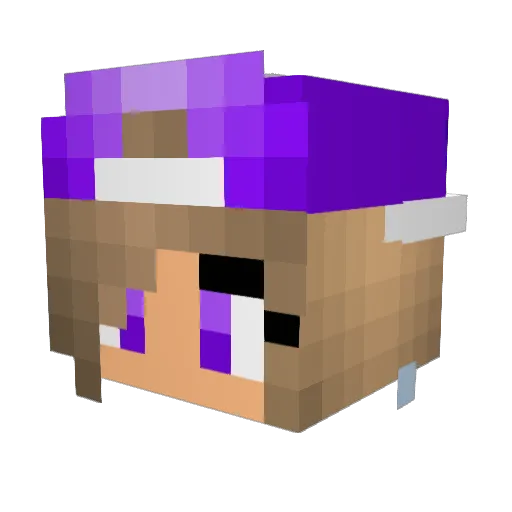 ponzilla04 Minecraft avatar head, 3D render