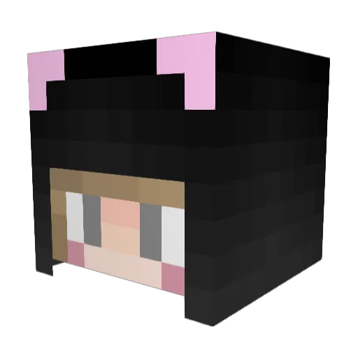 ponzu9 Minecraft avatar head, 3D render