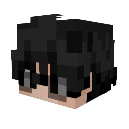 poo06 Minecraft avatar head, 3D render