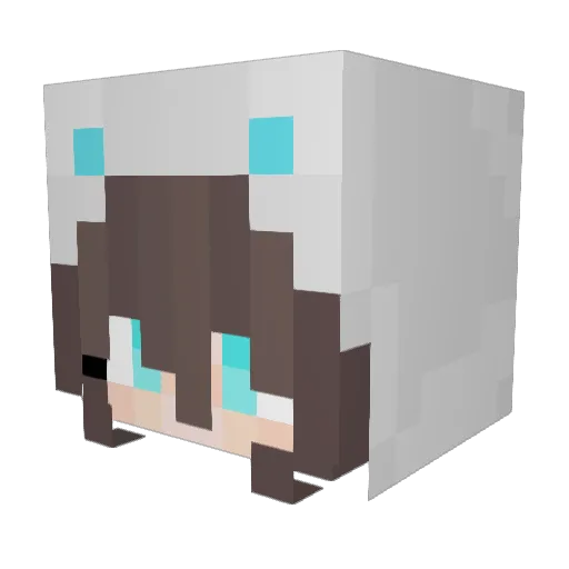 poo8245 Minecraft avatar head, 3D render