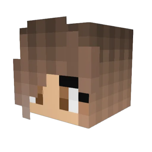 poo_killer Minecraft avatar head, 3D render