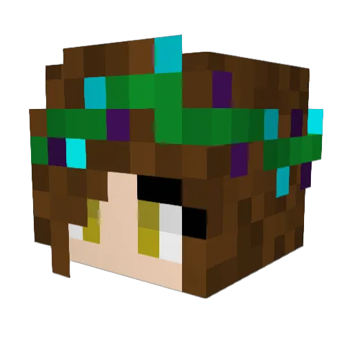 poobearmoises Minecraft avatar head, 3D render