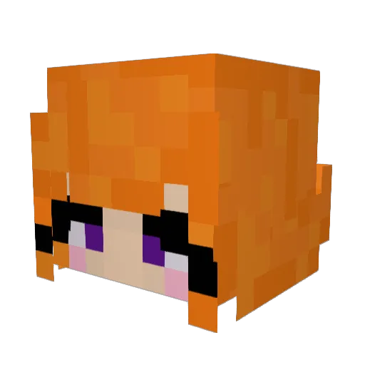 poobeh Minecraft avatar head, 3D render