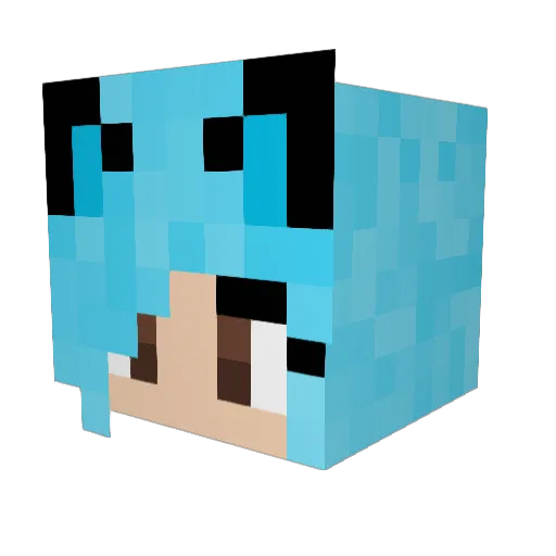 poochita Minecraft avatar head, 3D render