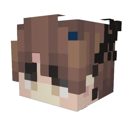 poodI3 Minecraft avatar head, 3D render