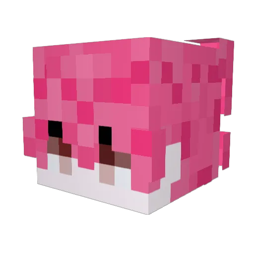 poodlepajama Minecraft avatar head, 3D render