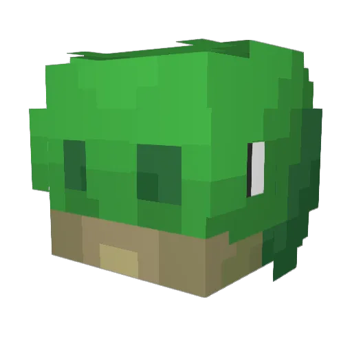 poodybooty Minecraft avatar head, 3D render