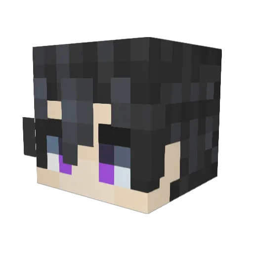 pooederbroeder Minecraft avatar head, 3D render