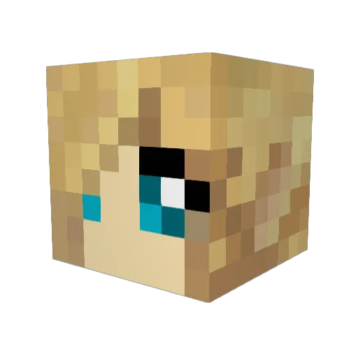 pooface2287 Minecraft avatar head, 3D render