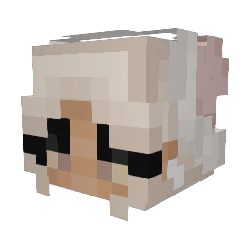 poofie23 Minecraft avatar head, 3D render