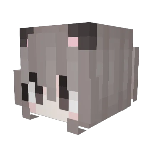 poofyfarts Minecraft avatar head, 3D render