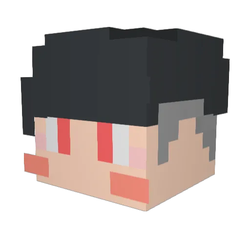 pooh75 Minecraft avatar head, 3D render