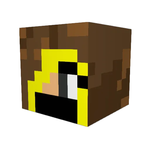 pooka04 Minecraft avatar head, 3D render