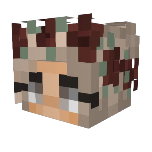pookachook Minecraft avatar head, 3D render