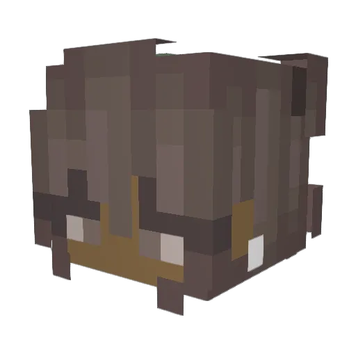 pookie369 Minecraft avatar head, 3D render