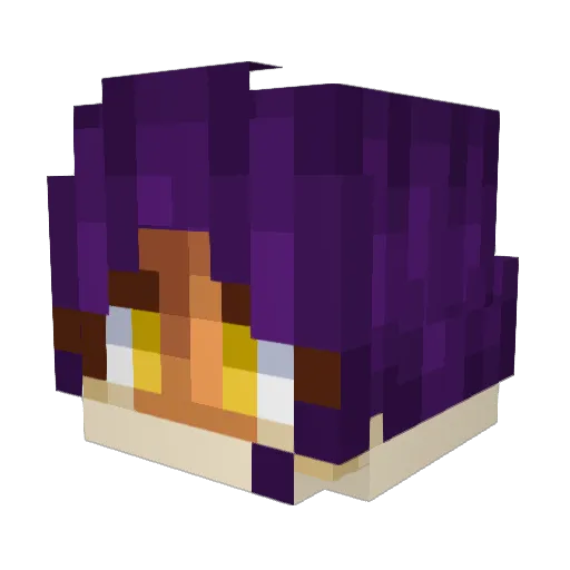 pookiebear69420 Minecraft avatar head, 3D render