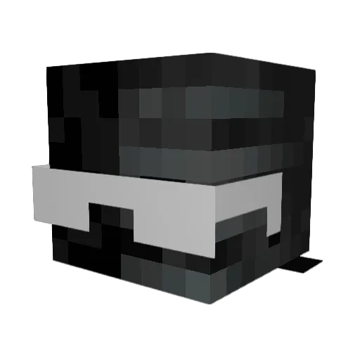 pookiedabest1 Minecraft avatar head, 3D render