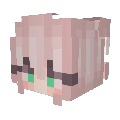 pooko1611 Minecraft avatar head, 3D render