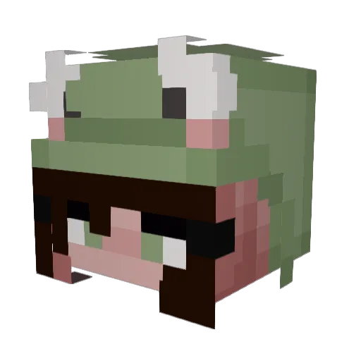 pooksew Minecraft avatar head, 3D render