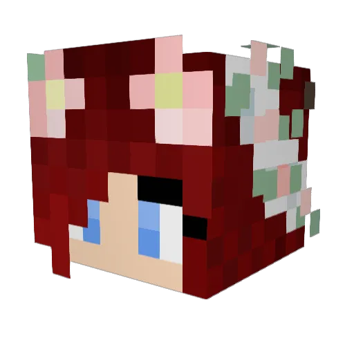 pookums Minecraft avatar head, 3D render