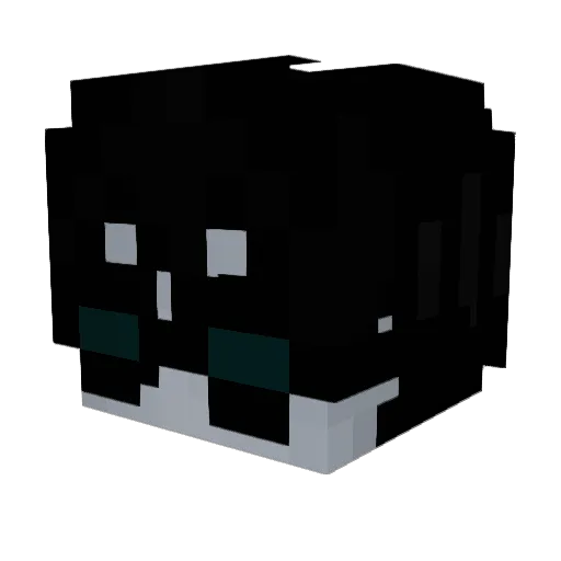 pool_qz Minecraft avatar head, 3D render
