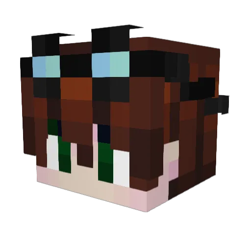 poolboy19 Minecraft avatar head, 3D render