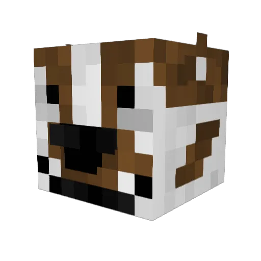 poolboys Minecraft avatar head, 3D render