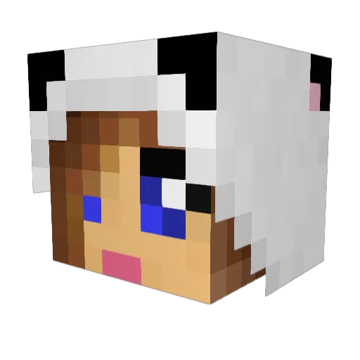 poolcool04 Minecraft avatar head, 3D render