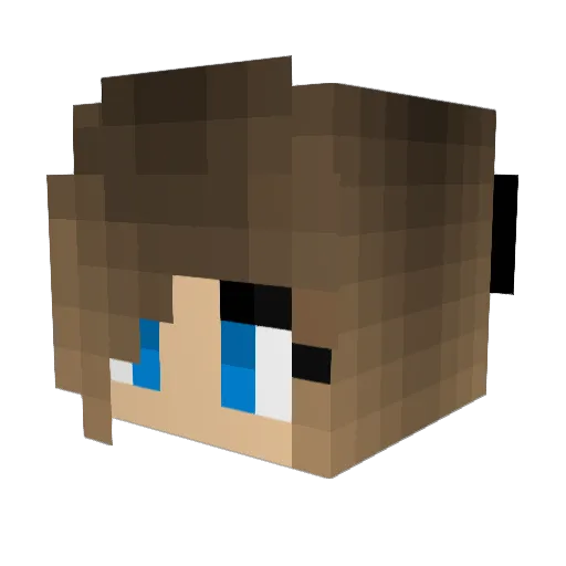 poolhack Minecraft avatar head, 3D render