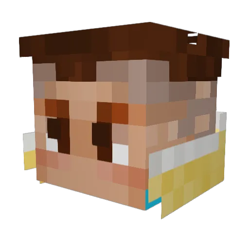 pooneey Minecraft avatar head, 3D render