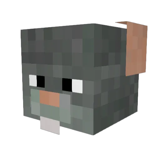 pooolrat Minecraft avatar head, 3D render