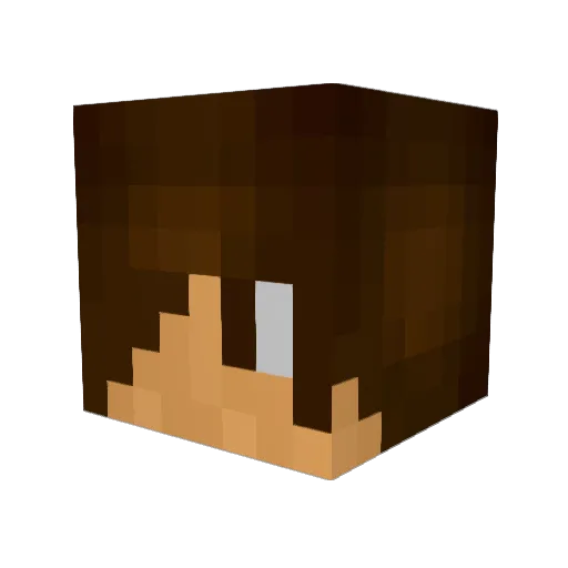 pooop11pooop Minecraft avatar head, 3D render