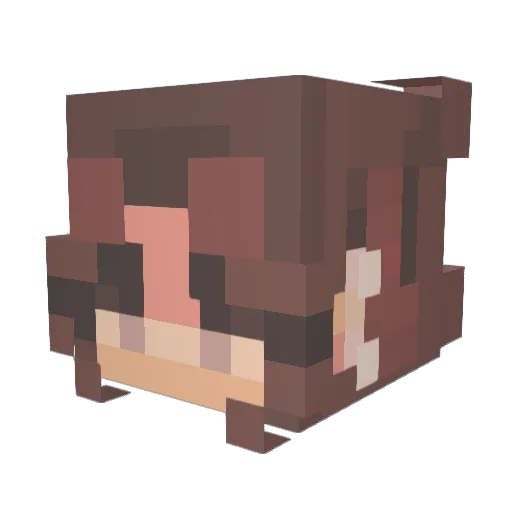 poop123098 Minecraft avatar head, 3D render