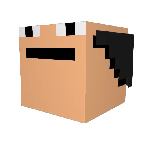 poop618 Minecraft avatar head, 3D render