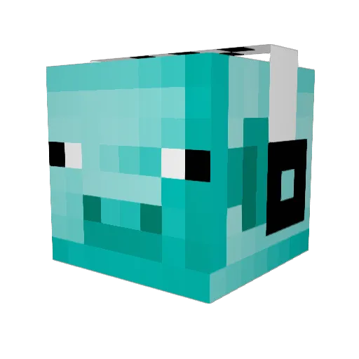 poop89 Minecraft avatar head, 3D render
