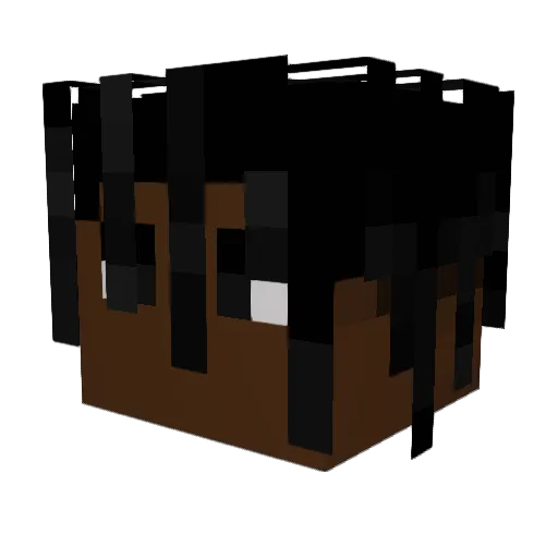poopFFB Minecraft avatar head, 3D render