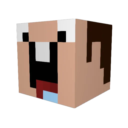 poopadoo_ Minecraft avatar head, 3D render