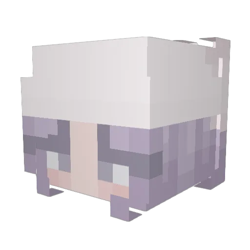 poopfart83 Minecraft avatar head, 3D render