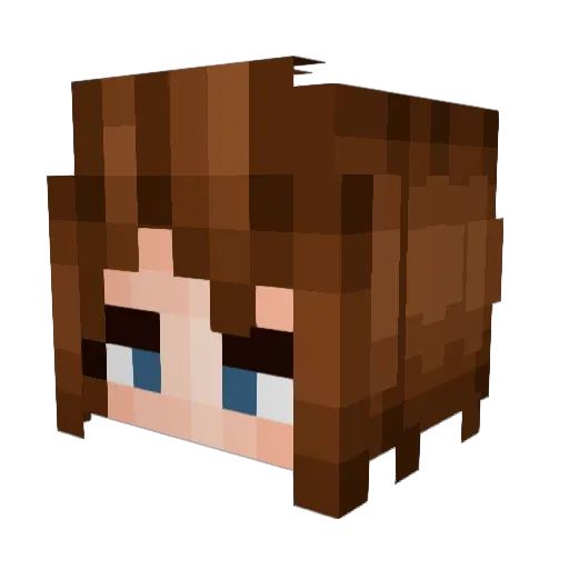 poopheads Minecraft avatar head, 3D render