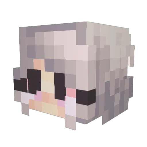 poopieleon Minecraft avatar head, 3D render