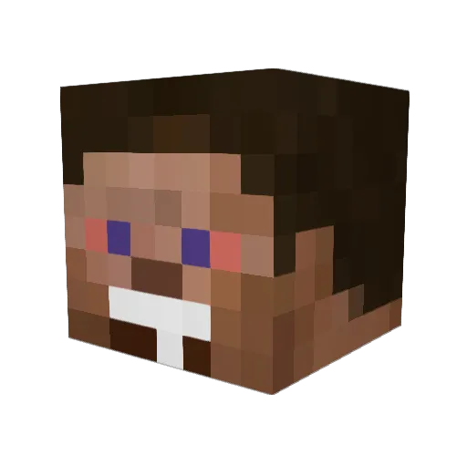 pooping47 Minecraft avatar head, 3D render