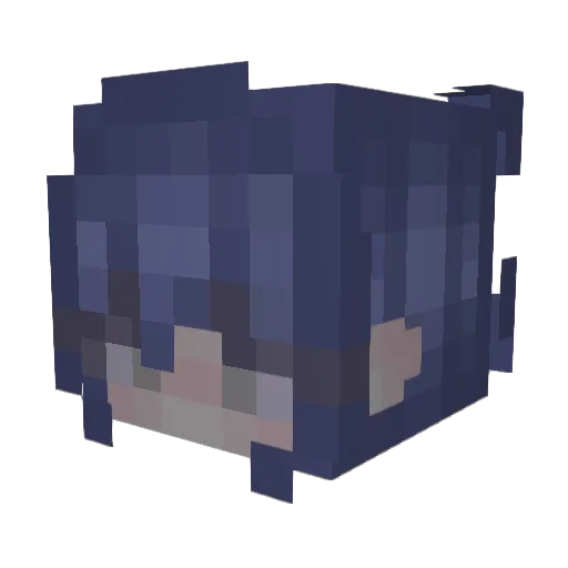 poopinthebutt Minecraft avatar head, 3D render