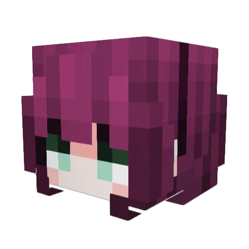 pooplard Minecraft avatar head, 3D render