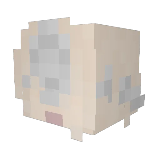 pooplord72 Minecraft avatar head, 3D render