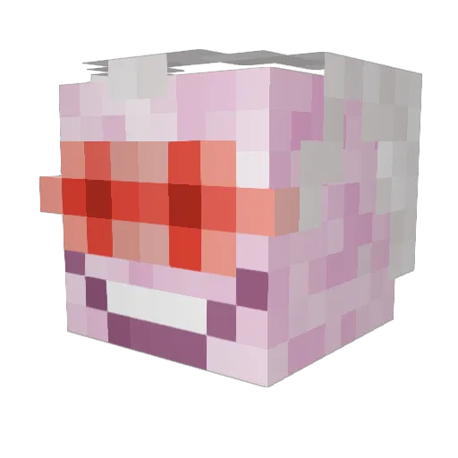 poopmaster1776 Minecraft avatar head, 3D render