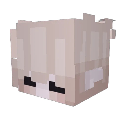 poopnanaee Minecraft avatar head, 3D render