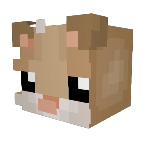 poopoo05 Minecraft avatar head, 3D render