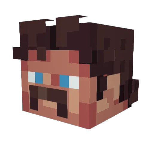 poopsalad911 Minecraft avatar head, 3D render