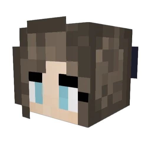 poopstacks123 Minecraft avatar head, 3D render