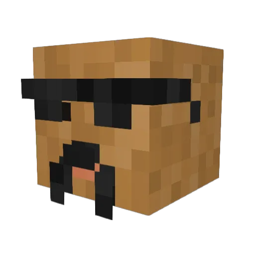 poopvacuum Minecraft avatar head, 3D render